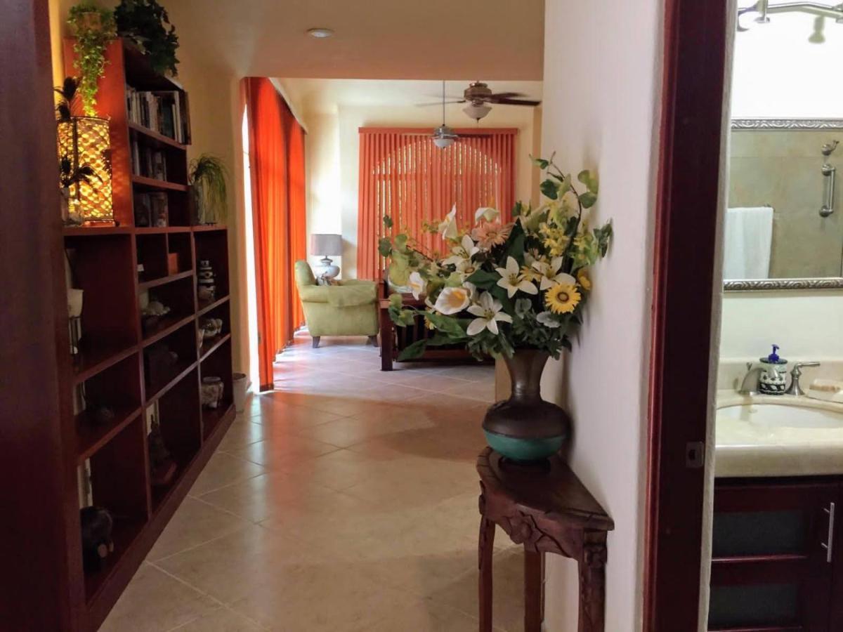 Casa Beard, Spacious Guest House With High Speed Wifi & Pool. Playa del Carmen Extérieur photo