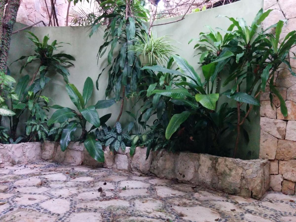 Casa Beard, Spacious Guest House With High Speed Wifi & Pool. Playa del Carmen Extérieur photo